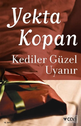 Kediler Güzel Uyanır